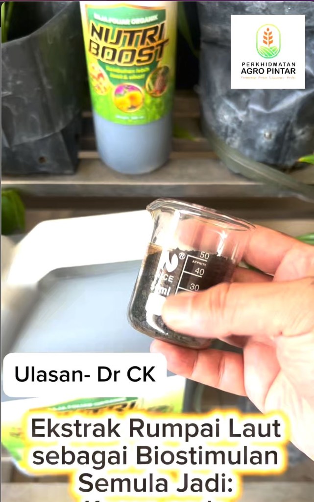 Ekstrak Rumpai Laut sebagai Biostimulan Semula Jadi: Kesan pada&nbsp;Pertumbuhan